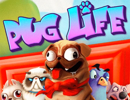 Pug Life